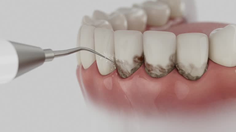 Reliable Dental contractor in Kingston, TN by Dentist Open Now